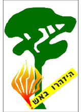 סכנת שריפות.